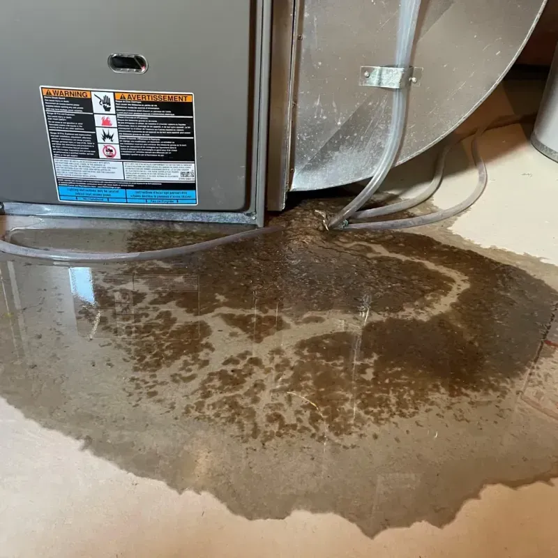 Appliance Leak Cleanup in Sugar Creek, MO